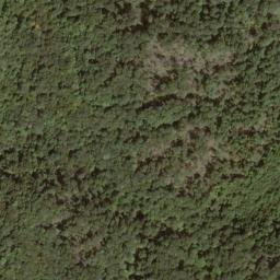 Satellite imagery of Fork Ridge, US