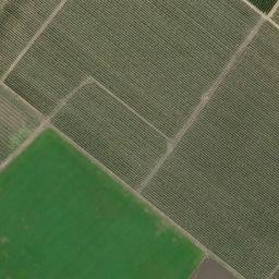 Satellite imagery of survey_point, DZ