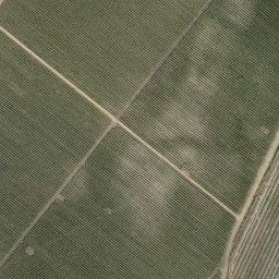Satellite imagery of survey_point, DZ
