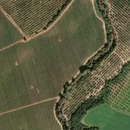 Satellite imagery of survey_point, DZ