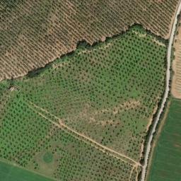 Satellite imagery of survey_point, DZ