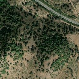 Satellite imagery of survey_point, DZ