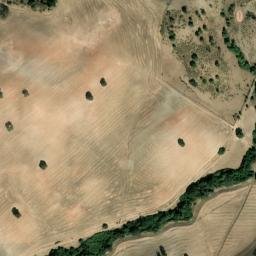 Satellite imagery of survey_point, DZ