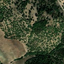 Satellite imagery of survey_point, DZ