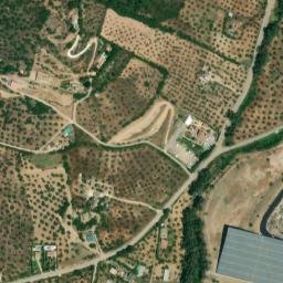 Satellite imagery of survey_point, DZ