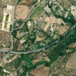 Satellite imagery of survey_point, DZ