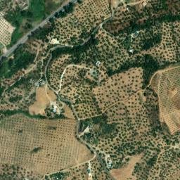 Satellite imagery of survey_point, DZ