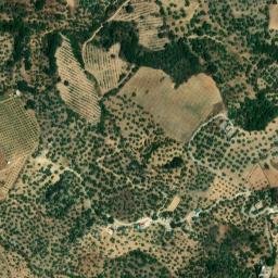 Satellite imagery of survey_point, DZ