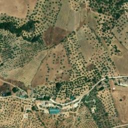 Satellite imagery of survey_point, DZ