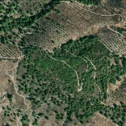 Satellite imagery of survey_point, DZ