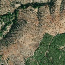Satellite imagery of survey_point, DZ