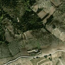 Satellite imagery of survey_point, DZ