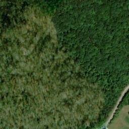 Satellite imagery of Dalton Ridge, US