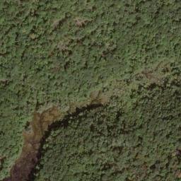 Satellite imagery of Fork Ridge, US