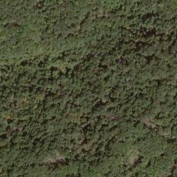 Satellite imagery of Fork Ridge, US