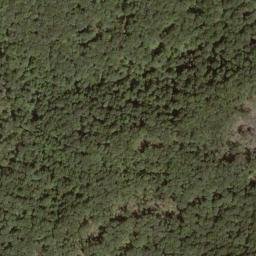 Satellite imagery of Fork Ridge, US