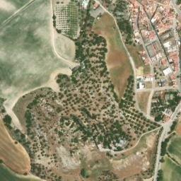 Satellite imagery of survey_point, DZ