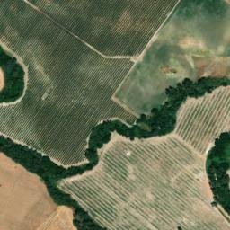 Satellite imagery of survey_point, DZ