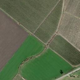 Satellite imagery of survey_point, DZ