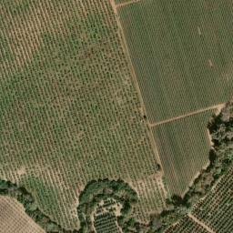 Satellite imagery of survey_point, DZ