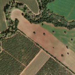 Satellite imagery of survey_point, DZ