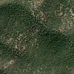 Satellite imagery of survey_point, DZ