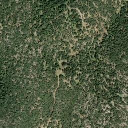 Satellite imagery of survey_point, DZ