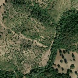Satellite imagery of survey_point, DZ