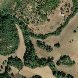 Satellite imagery of survey_point, DZ