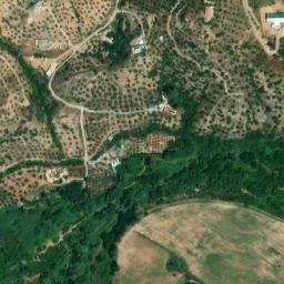 Satellite imagery of survey_point, DZ