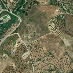 Satellite imagery of survey_point, DZ