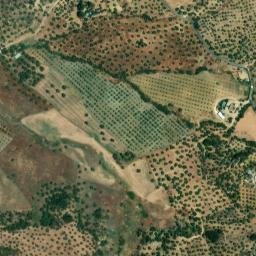 Satellite imagery of survey_point, DZ