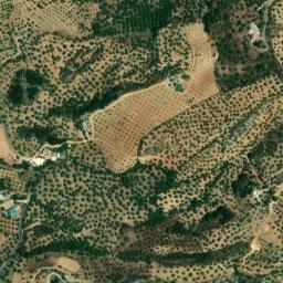 Satellite imagery of survey_point, DZ