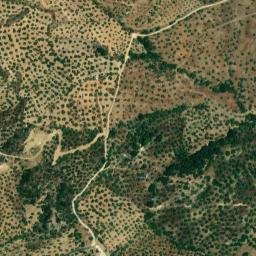 Satellite imagery of survey_point, DZ