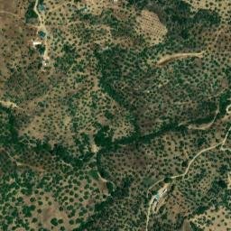 Satellite imagery of survey_point, DZ