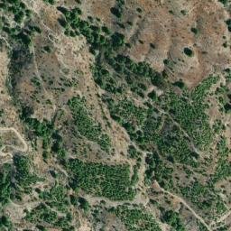 Satellite imagery of survey_point, DZ