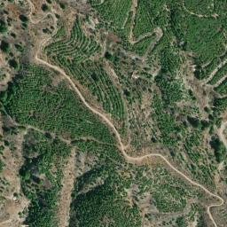 Satellite imagery of survey_point, DZ