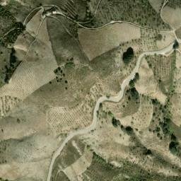 Satellite imagery of survey_point, DZ