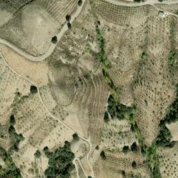 Satellite imagery of survey_point, DZ