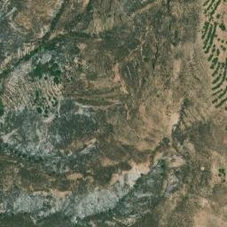 Satellite imagery of survey_point, DZ