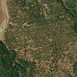 Satellite imagery of Güneşbanısı, TR