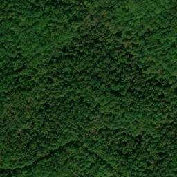 Satellite imagery of Cedar Hill Ridge, US
