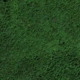 Satellite imagery of Dog Slaughter Ridge, US