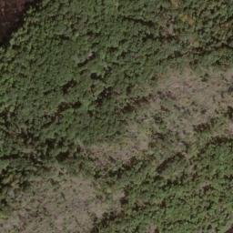 Satellite imagery of Fork Ridge, US