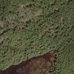 Satellite imagery of Fork Ridge, US