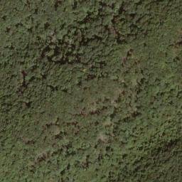 Satellite imagery of Fork Ridge, US