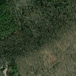 Satellite imagery of Flatwood Shaft, US