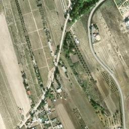 Satellite imagery of survey_point, DZ