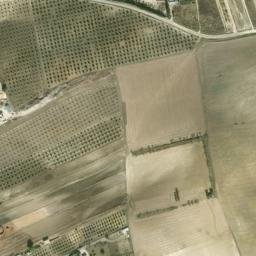 Satellite imagery of survey_point, DZ