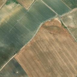 Satellite imagery of survey_point, DZ